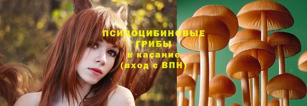 соль курить ск Новозыбков