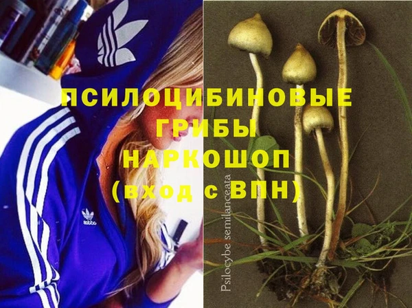 амфетамин Новодвинск