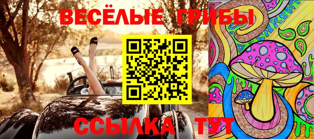 Шумерля  Галлюциногенные грибы Magic Shrooms  Вход с VPN 