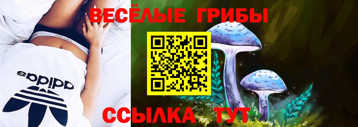 Псилоцибиновые грибы ЛСД Шумерля