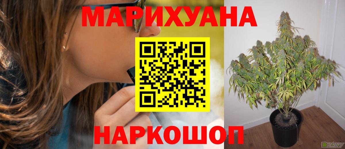 Бошки марихуана план  Вход с VPN  МАРИХУАНА сатива  Бошки марихуана VHQ  Шумерля  МАРИХУАНА индика 